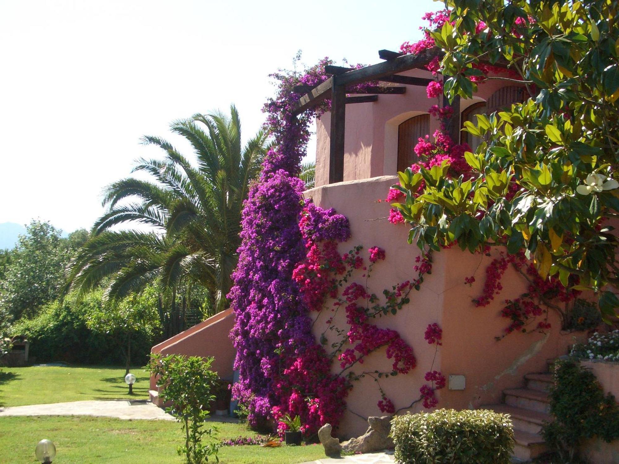 Bed & Breakfast Dessole Olbia Ngoại thất bức ảnh